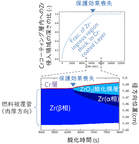 図11 水蒸気高温酸化時（1200℃）のCrコーティング下層におけるZrO<sub>2</sub>層（酸化膜層）成長の様子
