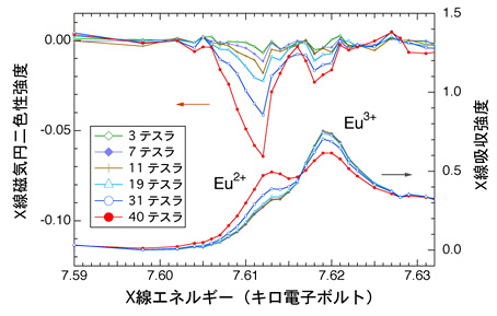 図3:ユーロピウム元素（Eu）のX線磁気円二色性（XMCD）スペクトル：［上］とX線吸収スペクトル：［下］の磁場依存性