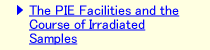 The PIE Facilities and the Course of Irradiated Samples