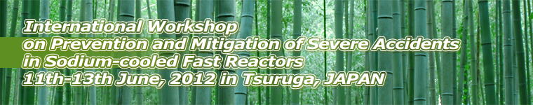International Workshop on Prevention and Mitigation of Severe Accidents in Sodium-cooled Fast Reactors 11th-13th June, 2012 in Tsuruga, JAPAN