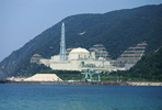 Fast Reactor Cycle System