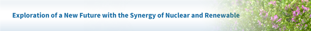 Exploration of a New Future with the Synergy of Nuclear and Renewable