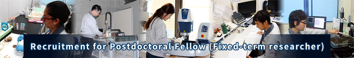 Recruitment for Postdoctoral Fellow (Fixed-term researcher)