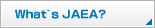 What's JAEA?