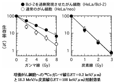 ⑫-}R