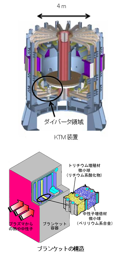 KTMuAuPbg̍\
