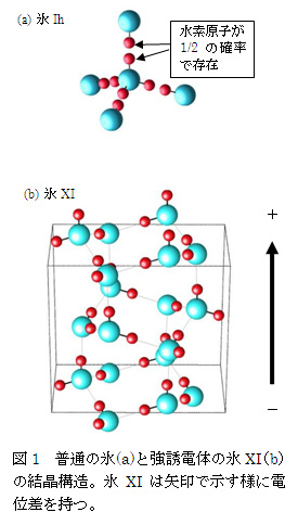 図1　普通の氷(a)と強誘電体の氷XI（b）の結晶構造。