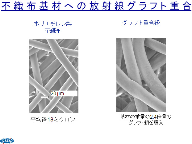 sDzނւ̕ːOtgd