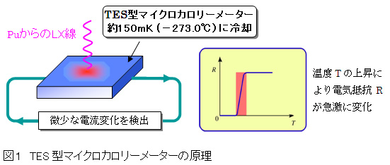 }P@TES^}CNJ[[^[̌