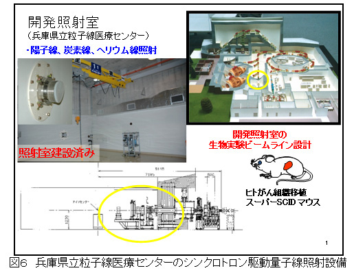 図６　兵庫県立粒子線医療センターのシンクロトロン駆動量子線照射設備