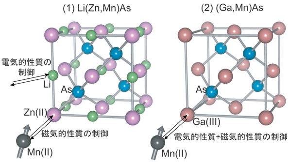 }P@Li(Zn,Mn)As(Ga,Mn)Asɂ鎥CIѓdCI̐iTO}j