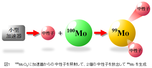 図１  100MoO3に加速器からの中性子を照射して、２個の中性子を放出して99Moを生成