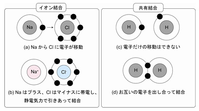 結合 は 共有 と