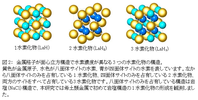 図2：　金属格子が面心立方構造で水素濃度が異なる3つの水素化物の構造