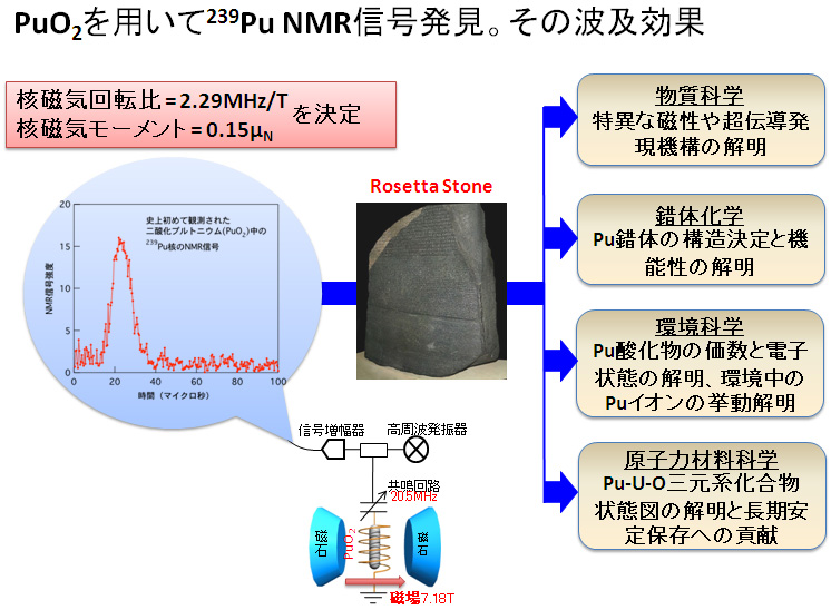 PuO2p239Pu NMRMB̔gy