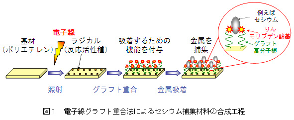 }P@dqOtgd@ɂZVEߏWޗ̍H