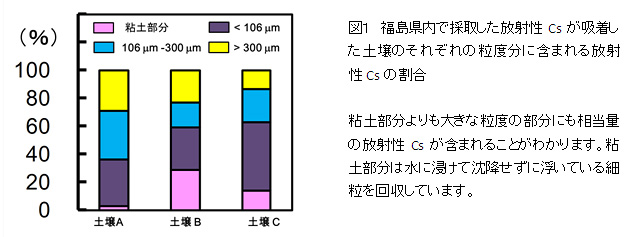 図１　福島県内で採取した放射性Csが吸着した土壌のそれぞれの粒度分に含まれる放射性Csの割合