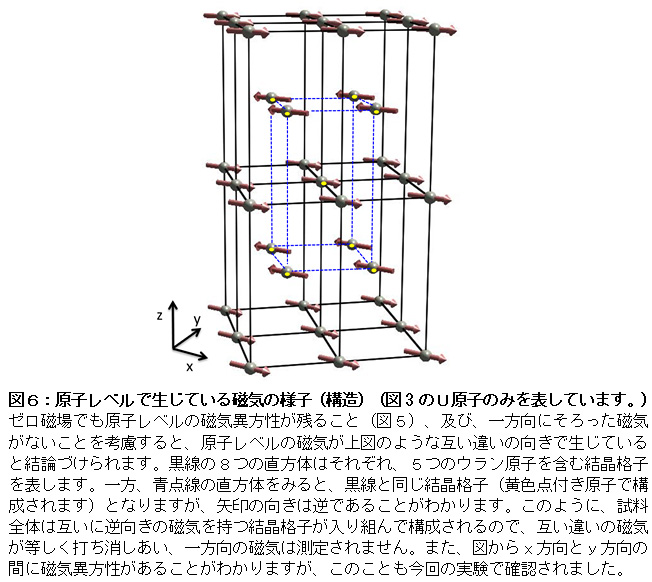 }UFqxŐĂ鎥C̗lqi\ji}3̂tq݂̂\Ă܂Bj