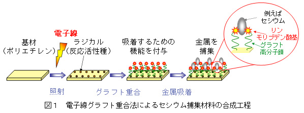 }P@dqOtgd@ɂZVEߏWޗ̍H