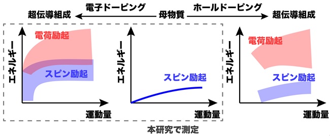 図３：銅酸化物超伝導体におけるスピン・電荷励起の概略図