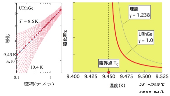 図 2 実験データ（左）の解析から得られたURhGeの磁化率（右図実線）。理論の予測（点線）と大きく異なる。