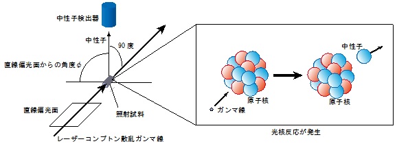 図1