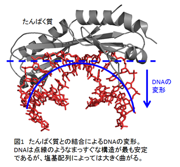 図1