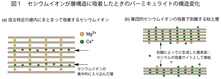 図１