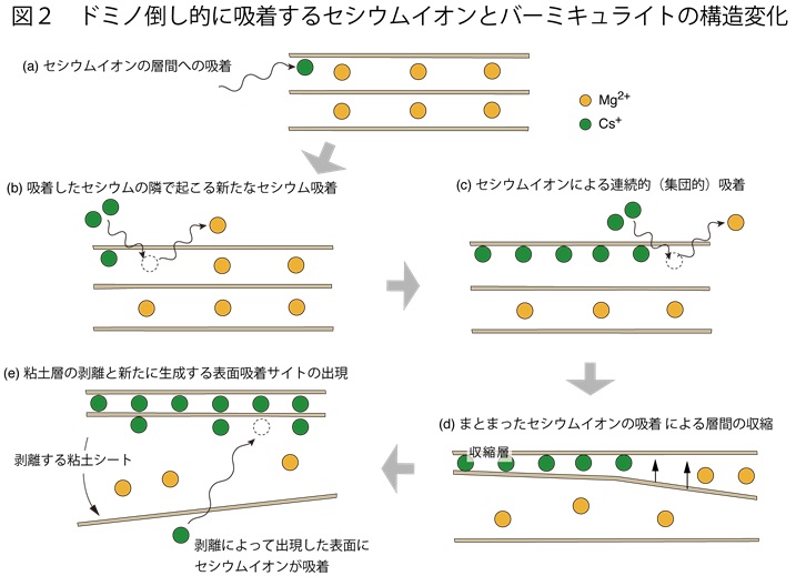 図２