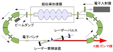 図5