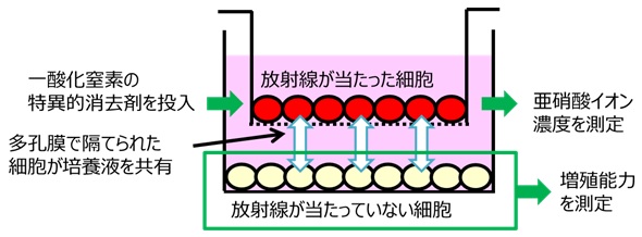 図1