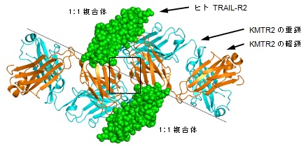 図1