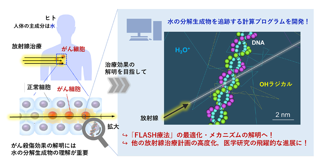 放射線による水分子の化学変化から最新がん治療に迫る！ ～放射線で