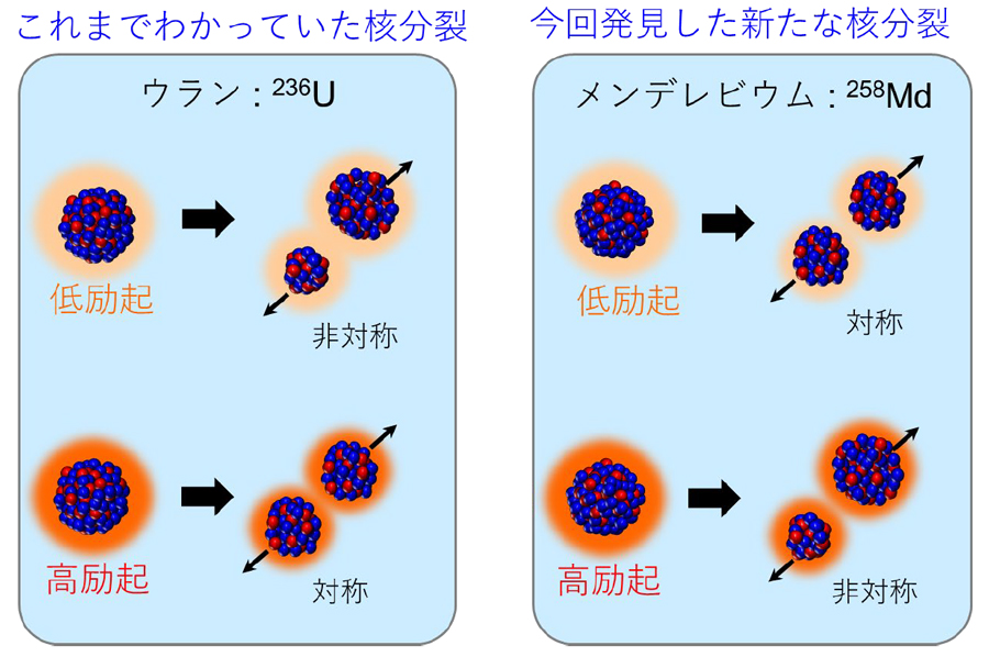 新しい「核分裂」の発見！ 99番元素アインスタイニウムが導く元素の世界～超重元素の存在限界と宇宙での元素合成の理解へ～