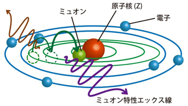 素粒子ミュオンを使うイメージングや元素分析の研究開発を加速〜「経済安全保障重要技術育成プログラム」にKEKから3件採択、3件分担～