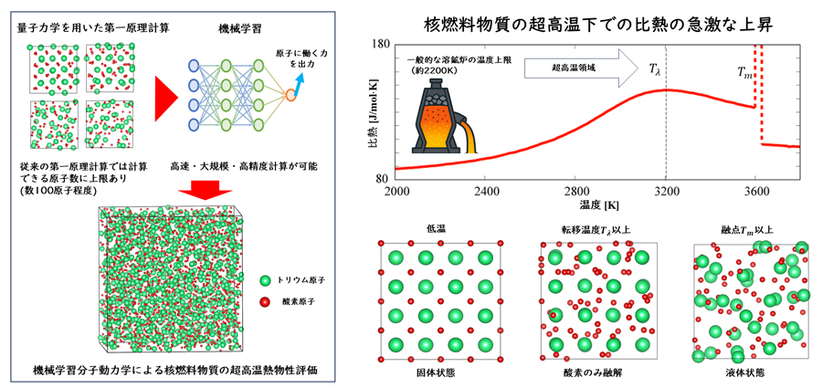 機械学習を駆使した原子シミュレーションで核燃料の高温物性の解明に挑む～酸化物核燃料が示す高温での特異な挙動の仕組みを原子レベルで究明～