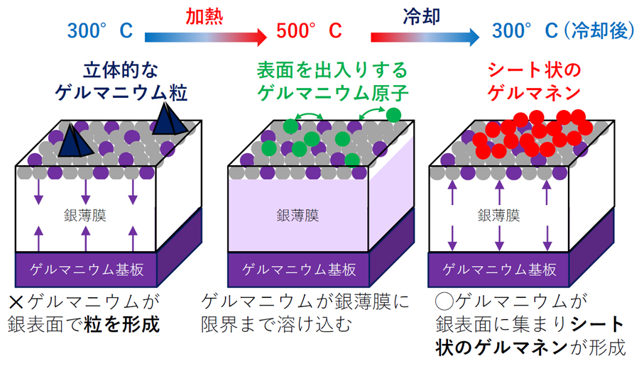 表面に集まるゲルマニウム原子がゲルマネン合成の鍵 ―加熱か冷却かで「粒」か「シート」かが決まる原理を解明、量子ビット材料探索に貢献―