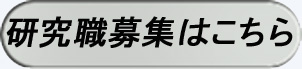 E͂