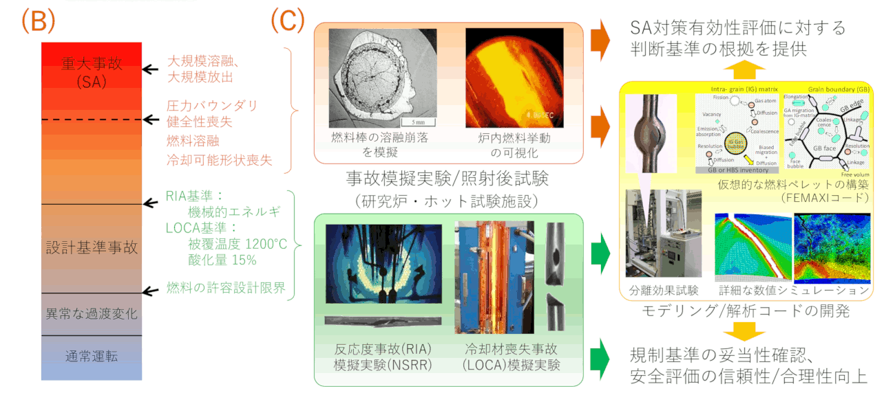 図1_研究活動