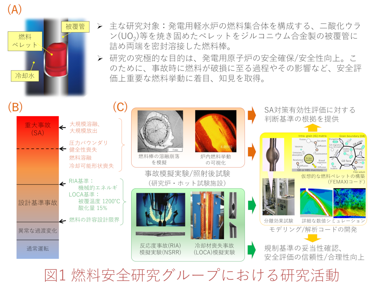 図1_研究活動