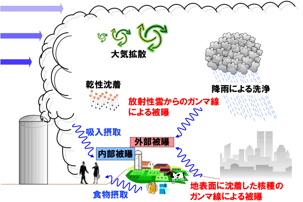 図1 原子力災害時における代表的な被ばく経路