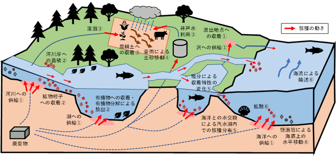 断層（派生断層の成長）を対象とした地下水流動解析例像