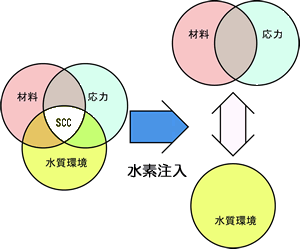 水素注入による応力腐食割れ予防対策