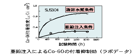 亜鉛注入による放射能蓄積抑制技術