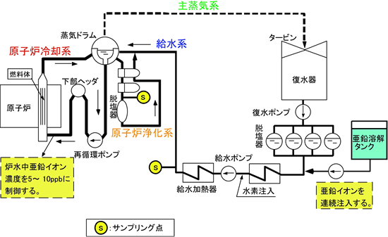 亜鉛注入による放射能蓄積抑制技術