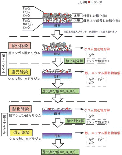 系統化学除染による被ばく低減