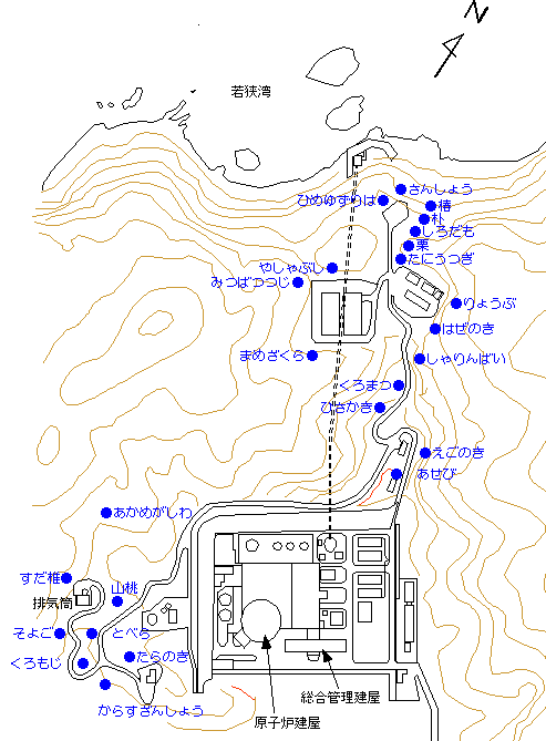 緑を紹介