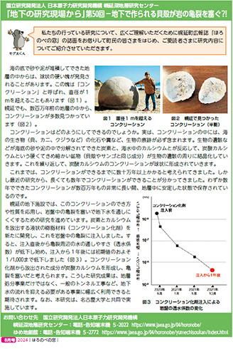 第50回－地下で作られる貝殻が岩の亀裂を塞ぐ？！