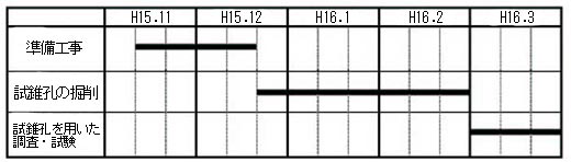 実施スケジュール（計画）