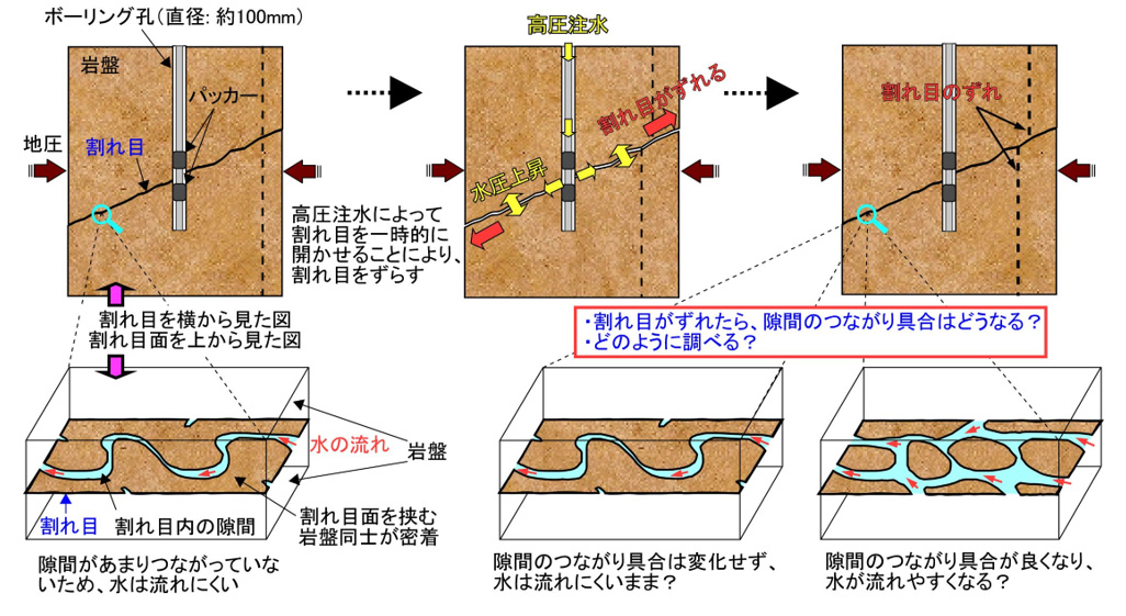 本試験手法のイメージ